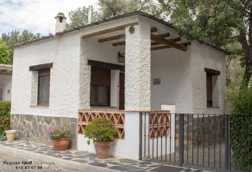 호텔 Camping Orgiva