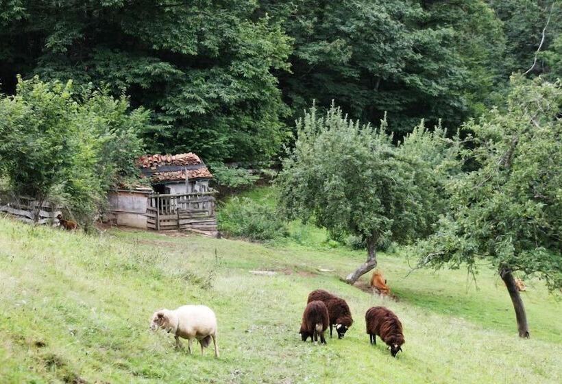 فندق Casería La Infiesta