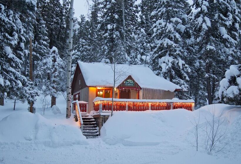 فندق Cottam S Lodge By Alpine Village Suites