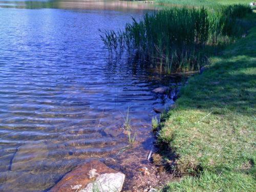 فندق Fior Di Bosco