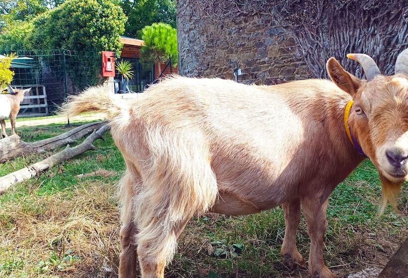 فندق Glamping Terre & Mer