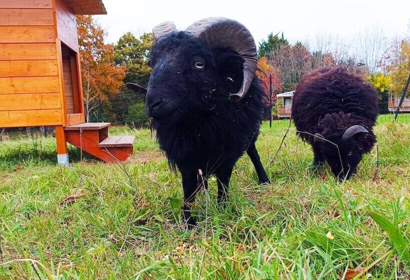 فندق Glamping Terre & Mer