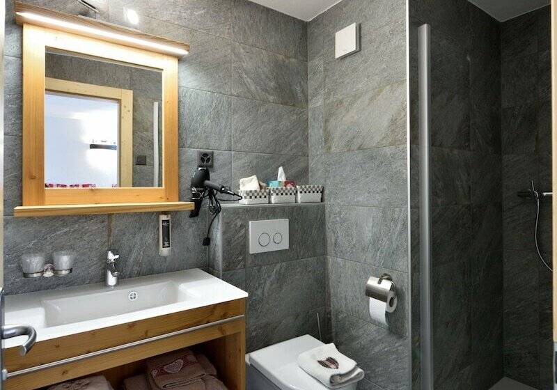 酒店 Hôtel Les Mélèzes