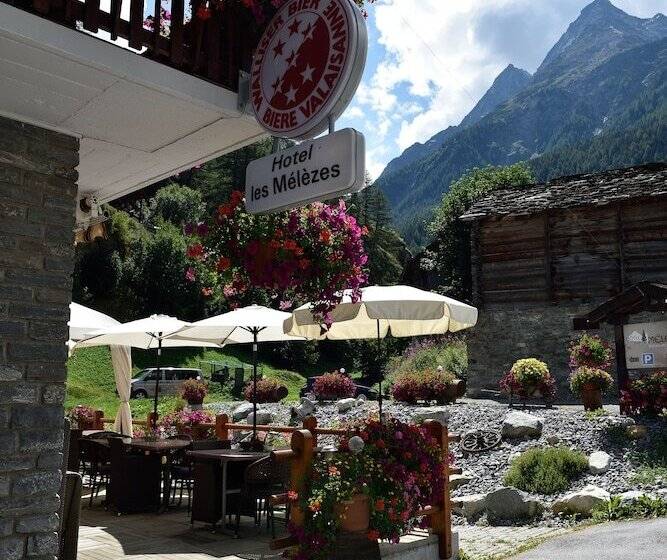 酒店 Hôtel Les Mélèzes