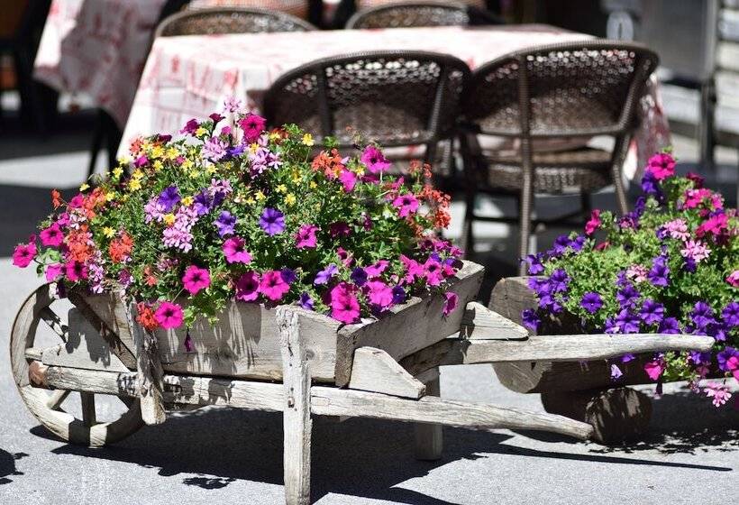 酒店 Hôtel Les Mélèzes