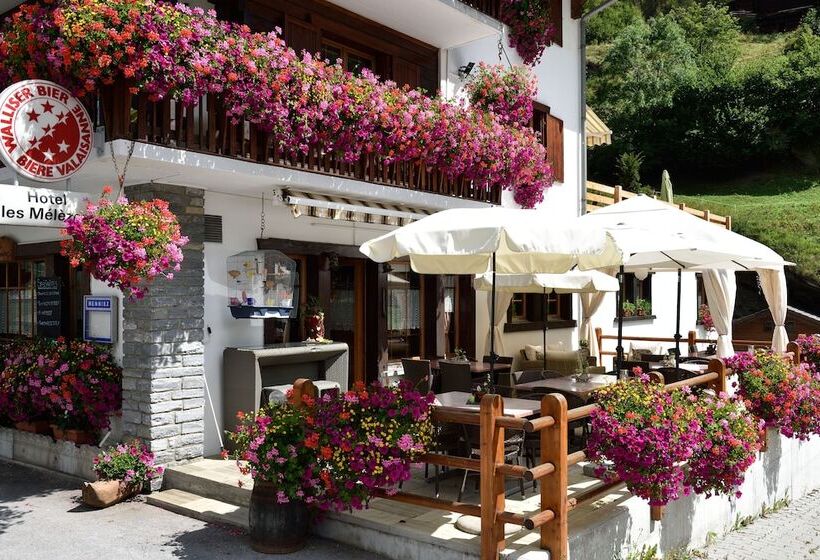 酒店 Hôtel Les Mélèzes