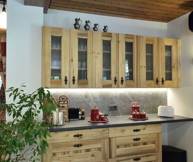 酒店 Hôtel Les Mélèzes