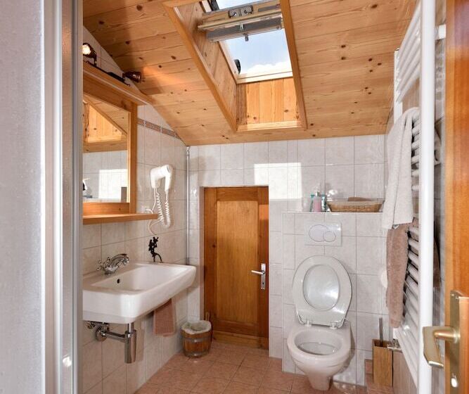 酒店 Hôtel Les Mélèzes