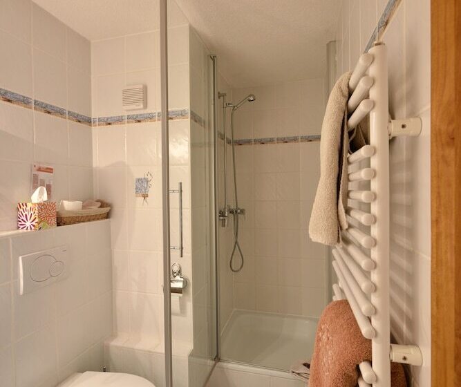 酒店 Hôtel Les Mélèzes