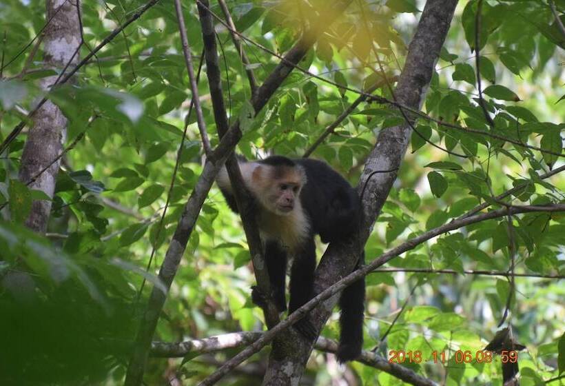 فندق La Ceiba Ecoadventures