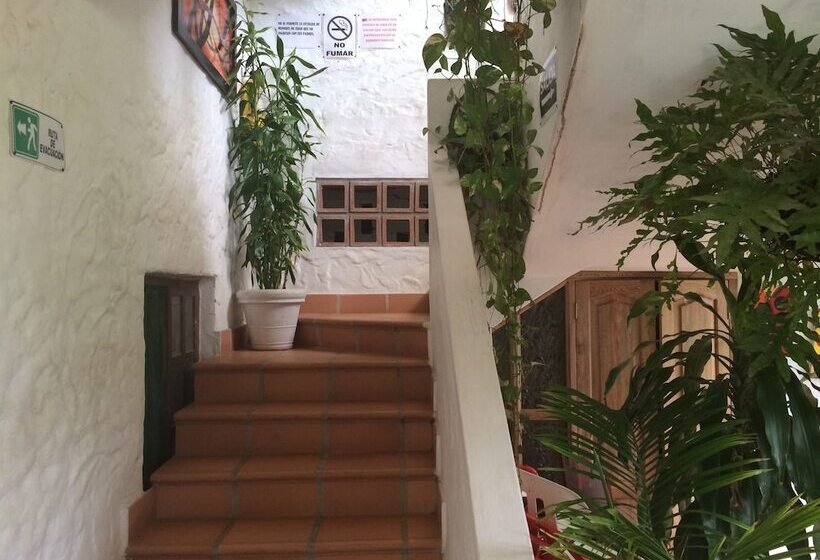 בית מלון כפרי Las Palmas