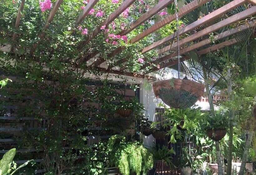 בית מלון כפרי Las Palmas