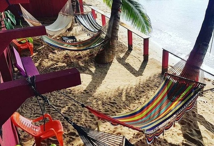 ホテル Las Palmeras Beachfront