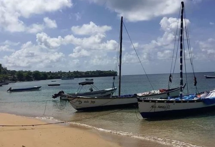 ホテル Las Palmeras Beachfront