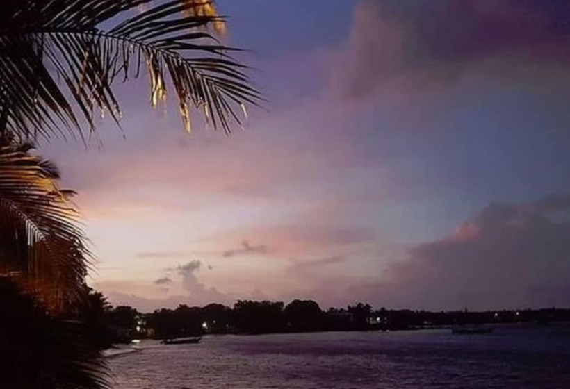 ホテル Las Palmeras Beachfront