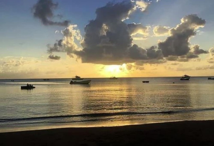 ホテル Las Palmeras Beachfront