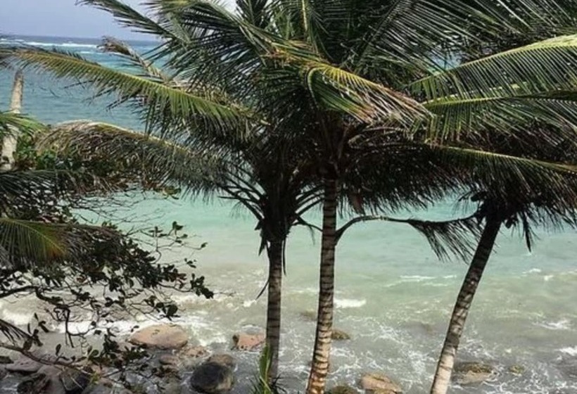 ホテル Las Palmeras Beachfront