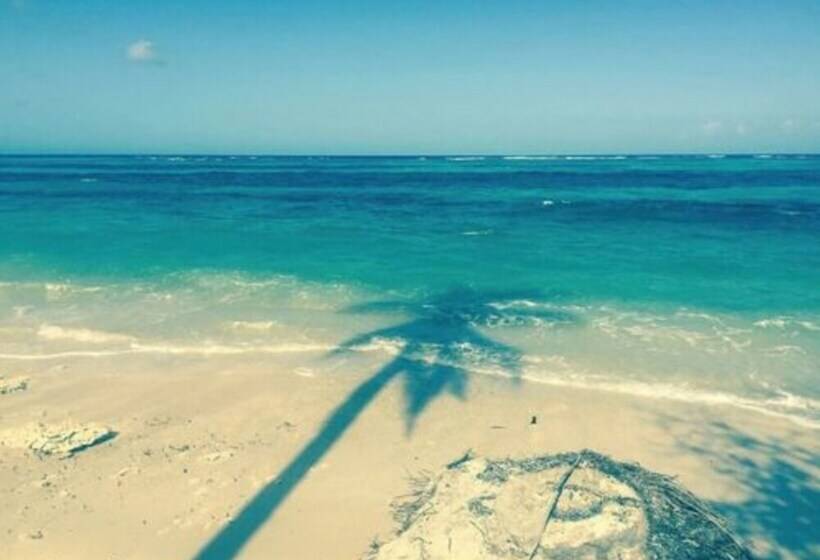 ホテル Las Palmeras Beachfront