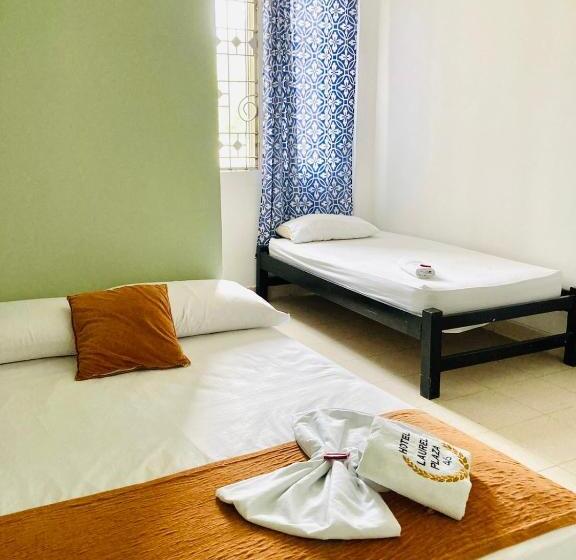 Отель Laurel Plaza 46