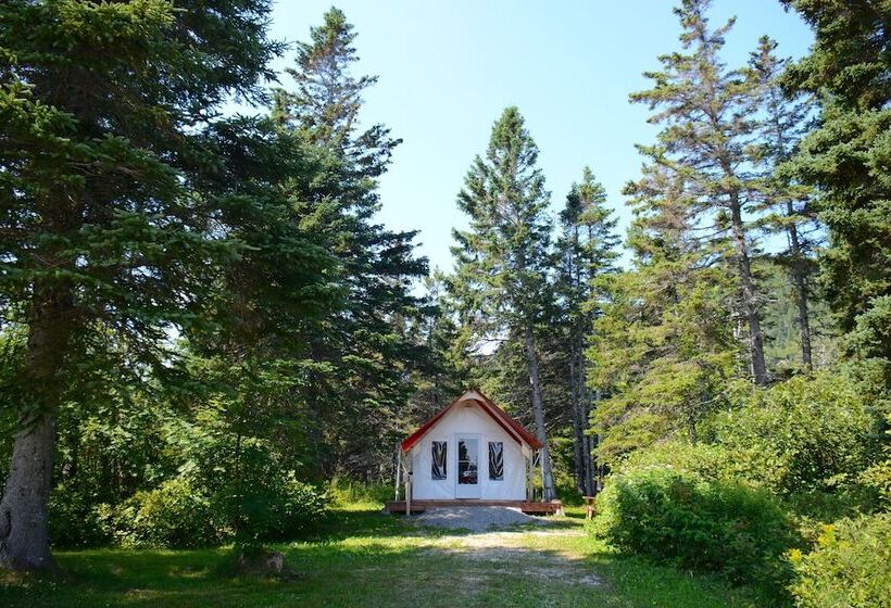 酒店 Maisonnettes Camping De La Baie De Perce