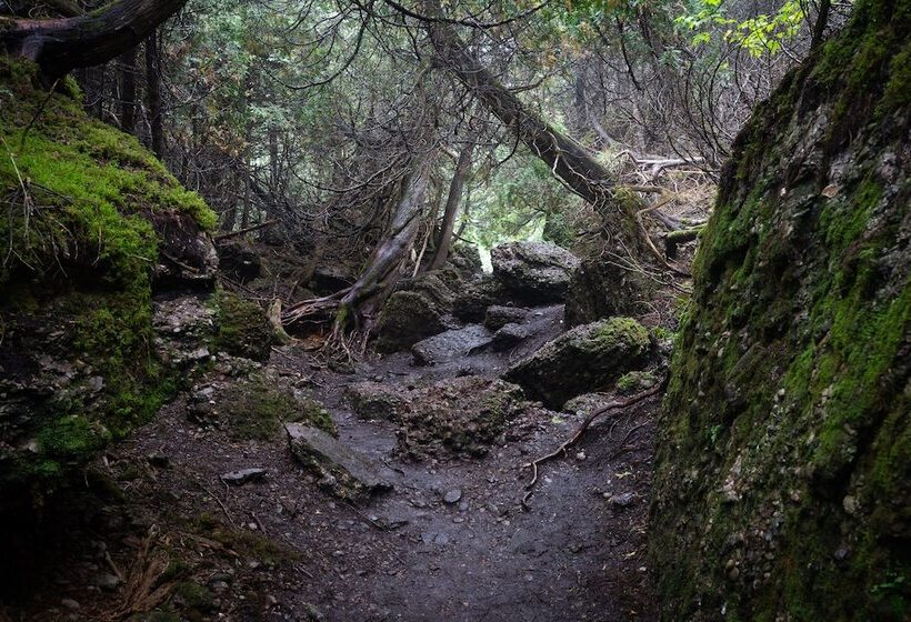 酒店 Maisonnettes Camping De La Baie De Perce