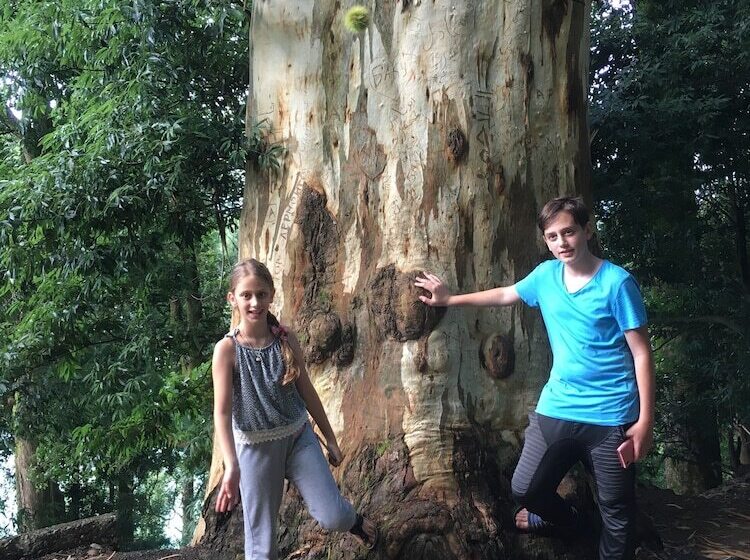 فندق Mencuna Konaklari