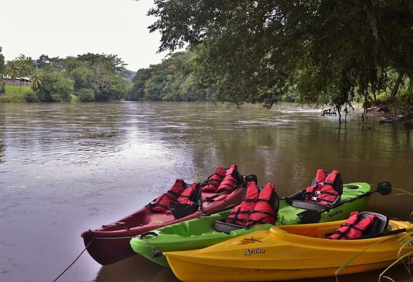 فندق Pedacito De Cielo Ecologe