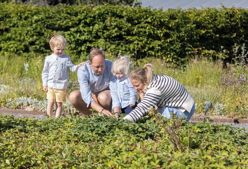 Otel örums Nygård österlen Spa & Konferens