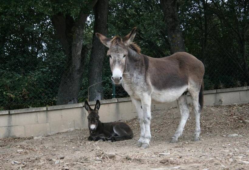 فندق ريفى La Granja De Vitoria