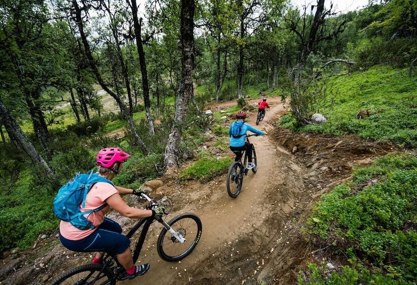 Отель Ski Lodge Tänndalen