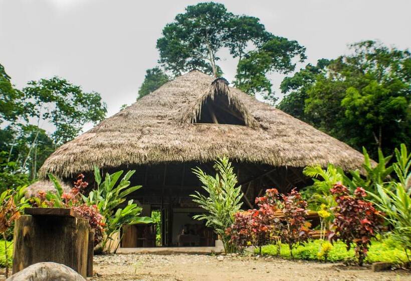 هتل Tres Ríos Jungle Lodge