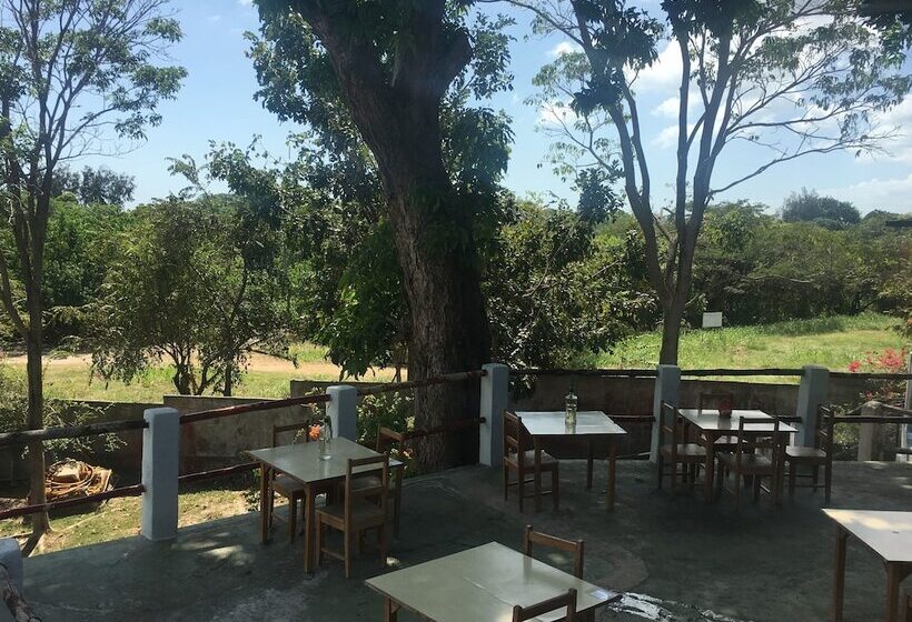 La Perla Del Pacifico   Hostel