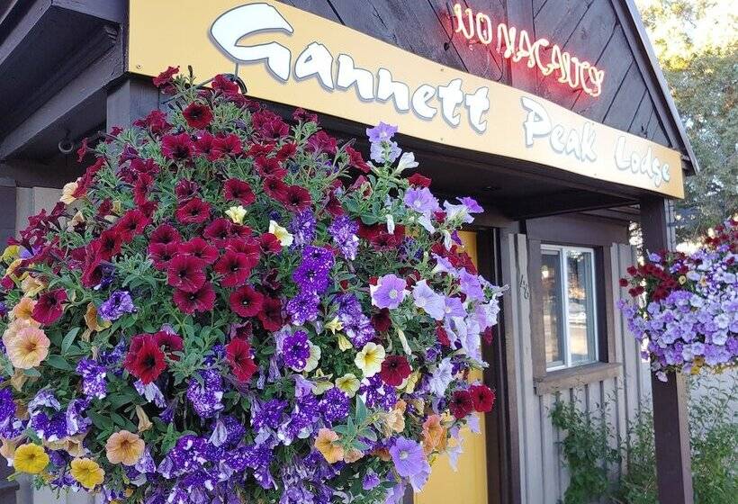 فندق على الطريق Gannett Peak Lodge