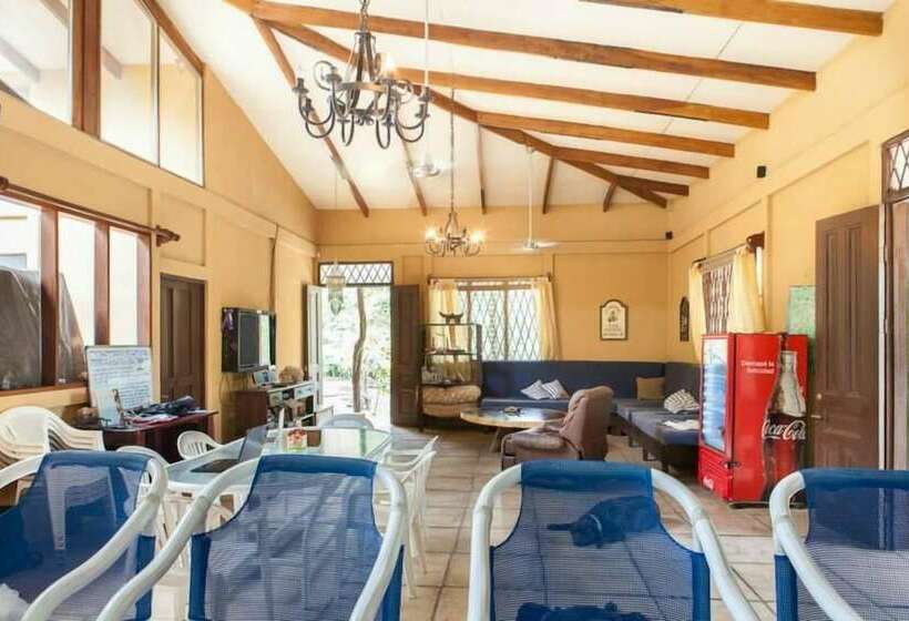 Nosara Beach Hostel