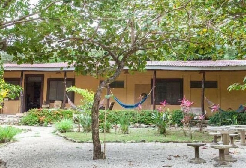 Nosara Beach Hostel