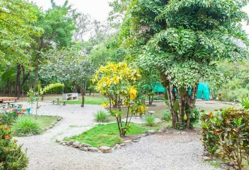 Nosara Beach Hostel