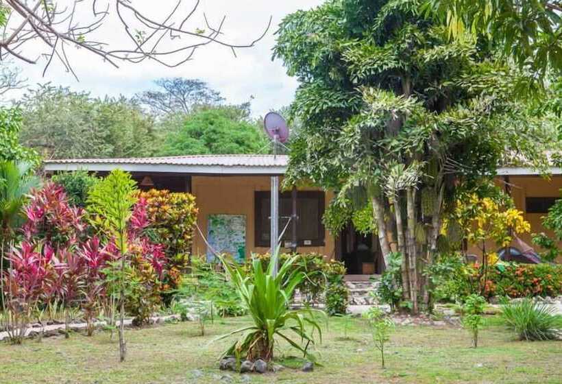 Nosara Beach Hostel