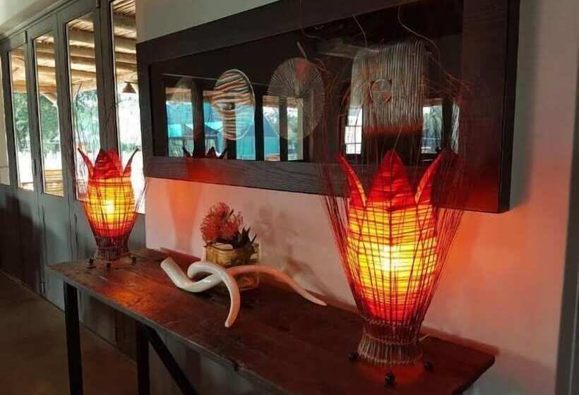 پانسیون Addo Wildlife