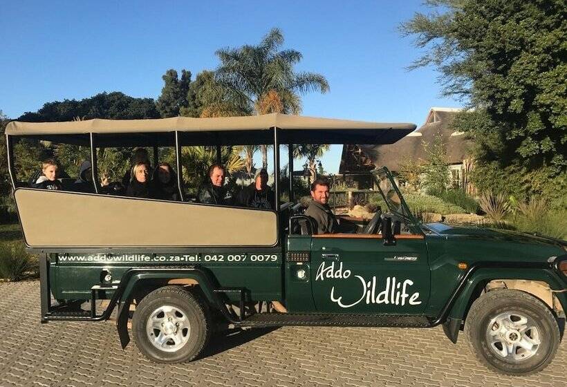 پانسیون Addo Wildlife