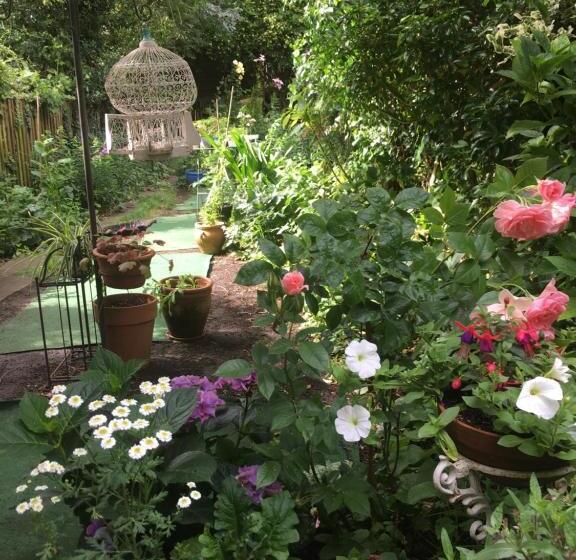 بنسيون Arts&bichonsb&b