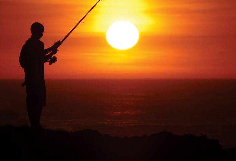 بنسيون Cameron House Inn