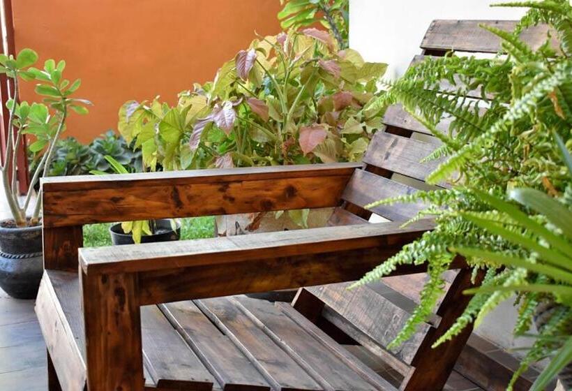 膳宿费 Casa Rosario