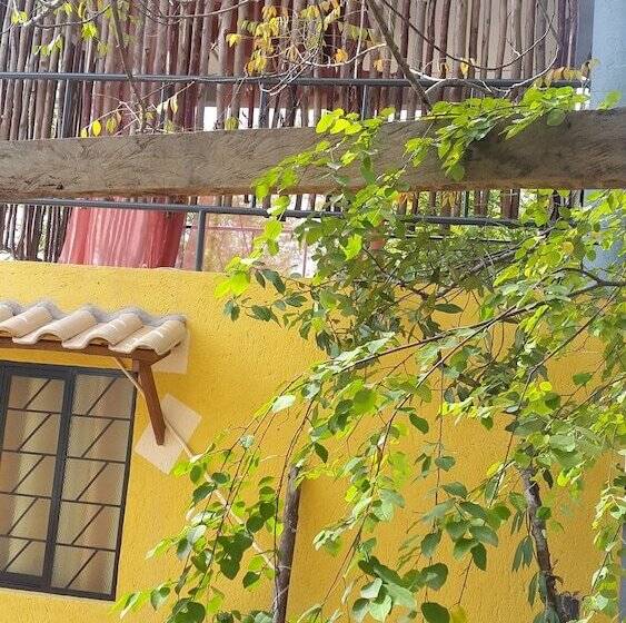 פנסיון Complexo Halley