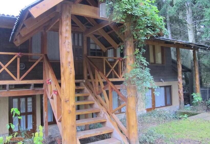 ペンション Las Casas De Alicia