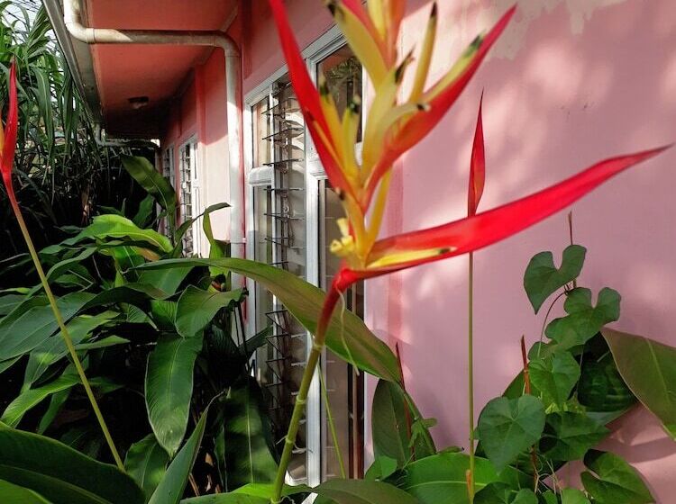 פנסיון Sunset Inn Valle Del Volcan