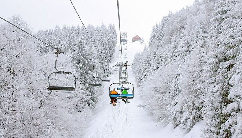 ペンション Vila Aura