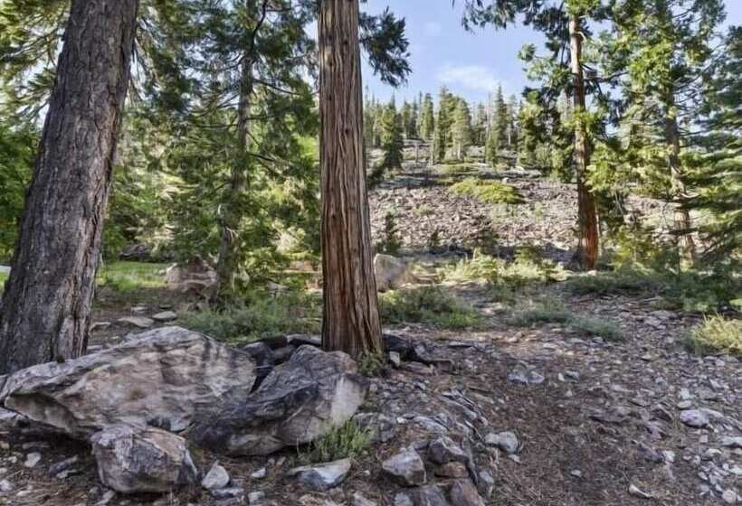 Pfeiffer Dog Friendly Cabin By Redawning