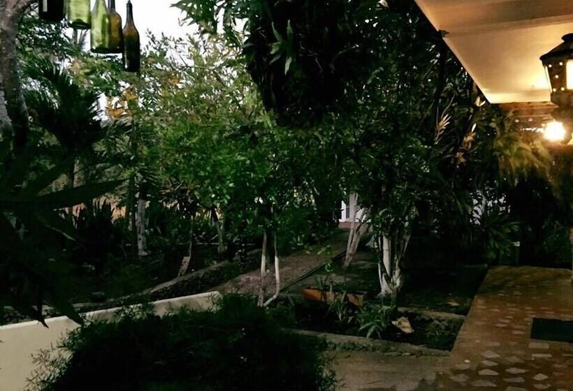 Posada Come So In The Bush