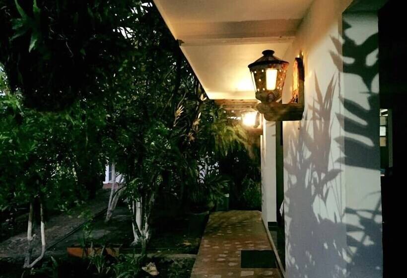 Posada Come So In The Bush