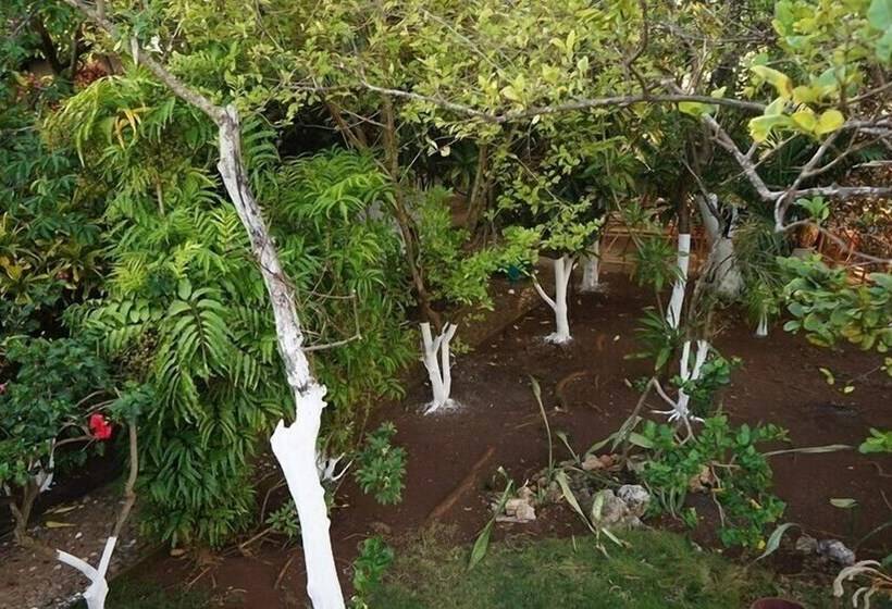 Posada Come So In The Bush